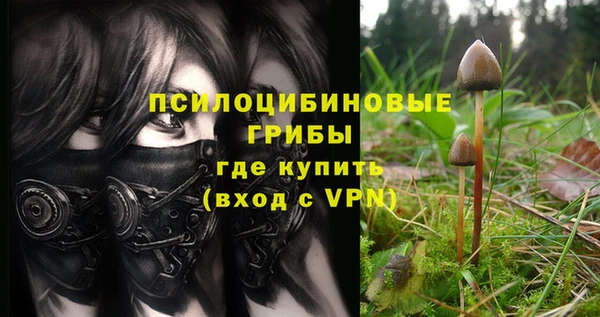 мяу мяу кристалл Магас